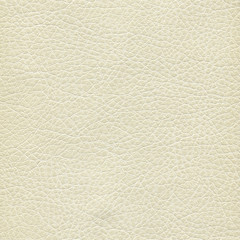 Gray, gentle, light textured leather background for design.