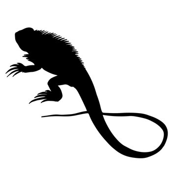 Black Iguana Lizard Silhouette Vector Illustration sign