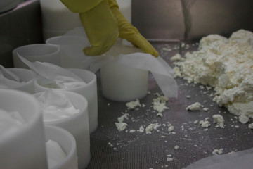 farmer making white goat cheese putting inside the molds the curd cheese with yellow gloves as a...