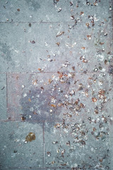 bird poop on the floor, vertical picture of pigeon excrements