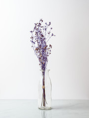 Bouquet of dried and wilted purple Gypsophila flowers in glass bottle on marble floor and white background