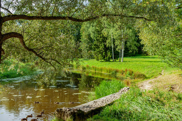 Fototapeta na wymiar Picturesque pond in the Park