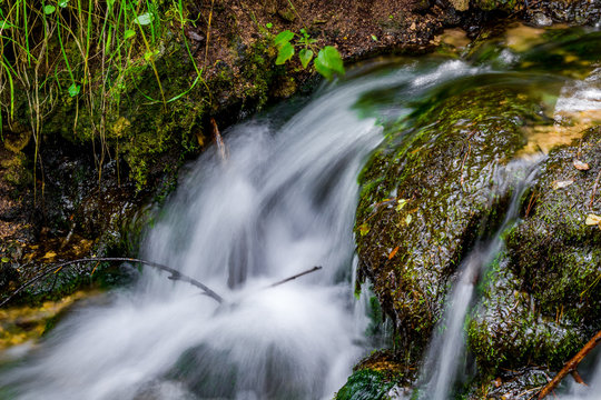 Beautiful forest stream, fast water flow
