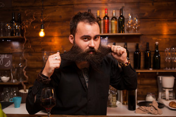 Attractive bartender playing with his long beard behind the counter. Stylish man.