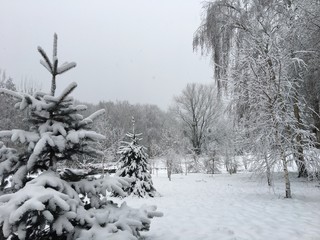 La neige tombe, jardin privé 