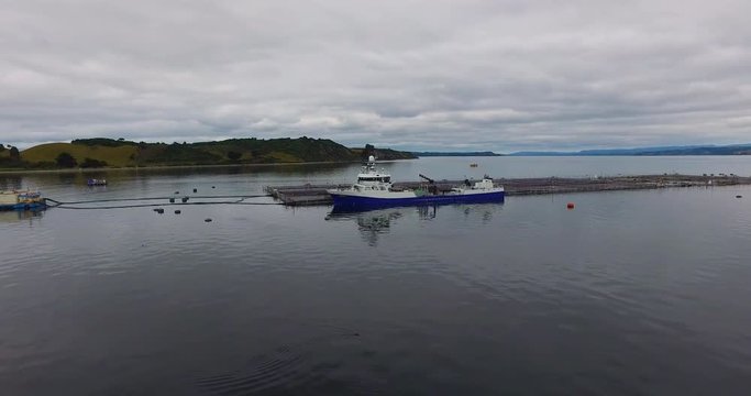 Aerial view of wellboat during harvesting of salmon in captivity, in the waters of the Chiloe archipelago