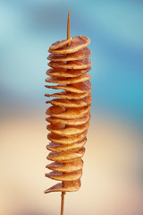 tasty spiral french fries