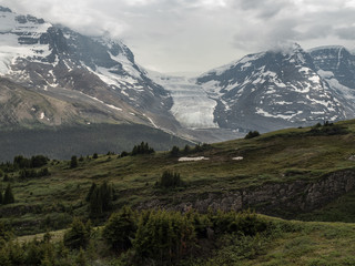Obraz premium View at the Athabasca Glacier