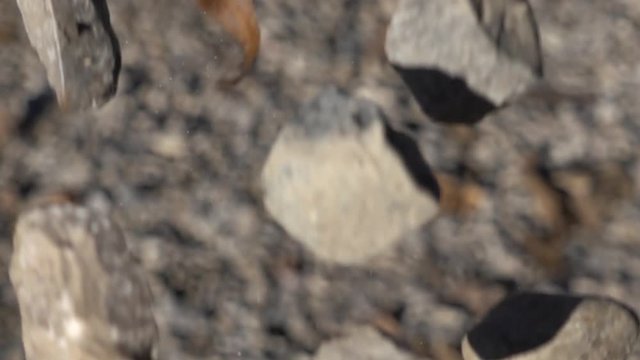 Super Slow Motion Bunch Of Rocks With Rock Dust And Leaves Falling Straight Down