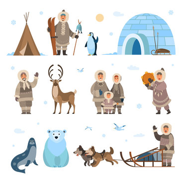 Arctic expeditions and discoveries North pole vector. Animals penguin and bear grizzly, husky and dogs with sledges, inuits and huts snowflakes snowfall