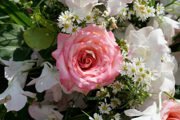 Pattern of natural flowers background texture