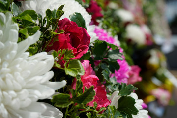 Pattern of natural flowers background texture