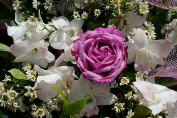 Pattern of natural flowers background texture