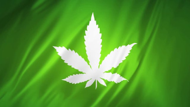 White marijuana logo on a green background developing in the wind 2 in 1