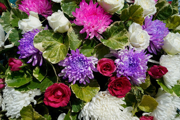 Pattern of natural flowers background texture