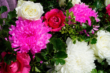 Pattern of natural flowers background texture
