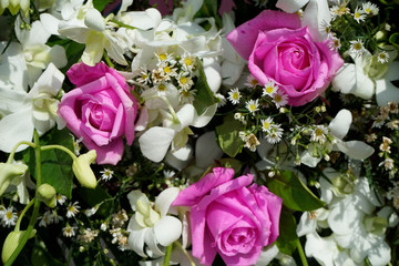 Pattern of natural flowers background texture
