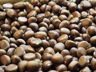 Veteran Brown hard shell fruit