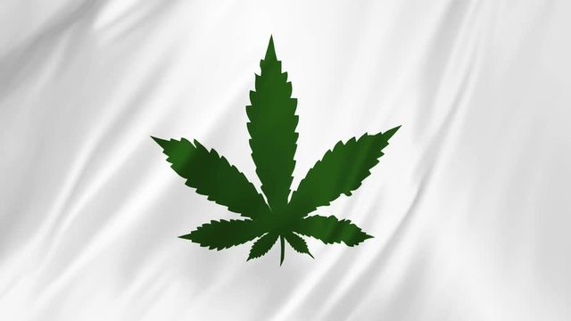 Green marijuana logo on a white background developing in the wind 2 in 1