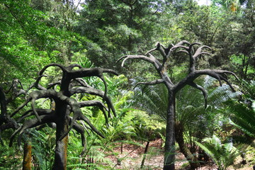 Arbres préhistoriques 