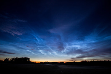 Naklejka na ściany i meble amazing noctilucent clouds over forest at summer in Lithuania