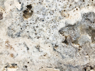 Texture of granite background. Granite Texture White Base with Brown Gray Spots