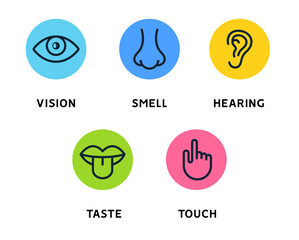 Five human senses vision eye, smell nose, hearing ear, touch hand, taste mouth and tongue. Line vector icons set