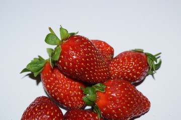 food, garden, fruit, farm, strawberry, plantation, nursery, lanka, sri, eliya, nuwara, color, red, summer, bright, flower, plant, season, landscape, close-up, freshness, organic, field, structure, gro