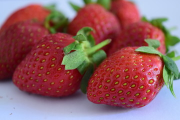 food, garden, fruit, farm, strawberry, plantation, nursery, lanka, sri, eliya, nuwara, color, red, summer, bright, flower, plant, season, landscape, close-up, freshness, organic, field, structure, gro