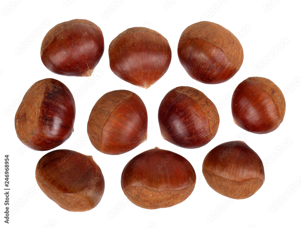 Wall mural fresh chestnut seeds