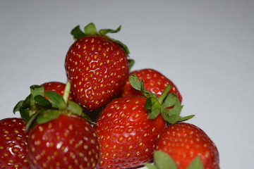 food, garden, fruit, farm, strawberry, plantation, nursery, lanka, sri, eliya, nuwara, color, red, summer, bright, flower, plant, season, landscape, close-up, freshness, organic, field, structure, gro