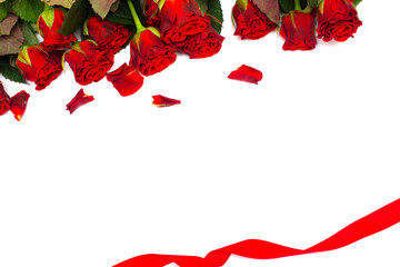 Red roses on a white background. Gift bouquet for a girl on Valentine's Day or Mother's Day
