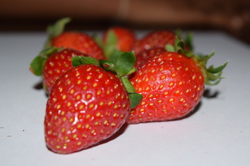 food, garden, fruit, farm, strawberry, plantation, nursery, lanka, sri, eliya, nuwara, color, red, summer, bright, flower, plant, season, landscape, close-up, freshness, organic, field, structure, gro