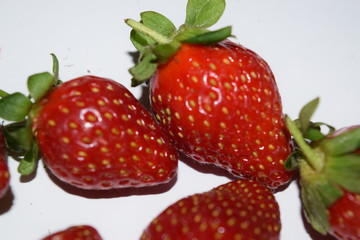 food, garden, fruit, farm, strawberry, plantation, nursery, lanka, sri, eliya, nuwara, color, red, summer, bright, flower, plant, season, landscape, close-up, freshness, organic, field, structure, gro