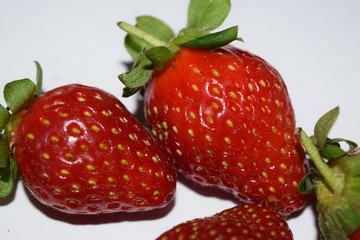 food, garden, fruit, farm, strawberry, plantation, nursery, lanka, sri, eliya, nuwara, color, red, summer, bright, flower, plant, season, landscape, close-up, freshness, organic, field, structure, gro