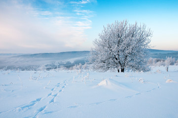 beautiful winter landscapes in the valleys