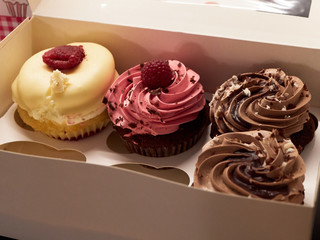 cupcakes with chocolate frosting