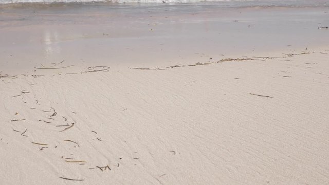 Tropical sandy beach with calm waves. Destination with nobody