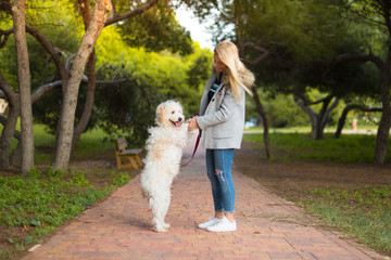 Young girl with her dog in a park