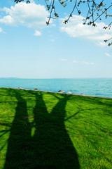 lakeside tree shadow on the park grass landscape