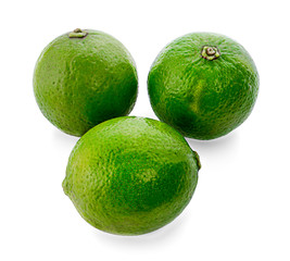 lime isolated on white background