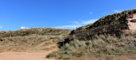 german sylt landscape at the beach of the north sea in late summer autumn with green and red heather pagan and sand