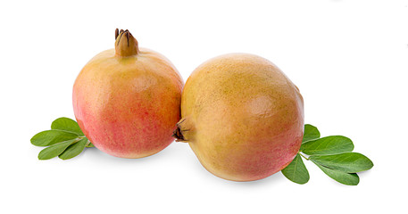 Pomegranate isolated on white background