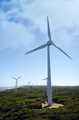 Fototapeta premium Albany Wind Farm in Western Australia.