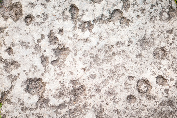 gray stone on earth. the texture of a stone laid on the road