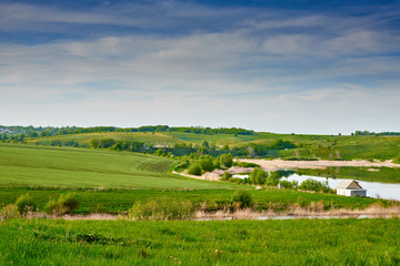 Naklejka premium Spring nature in Russia