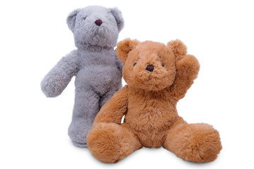 Teddy Bear lift , teddy bear isolated on white background