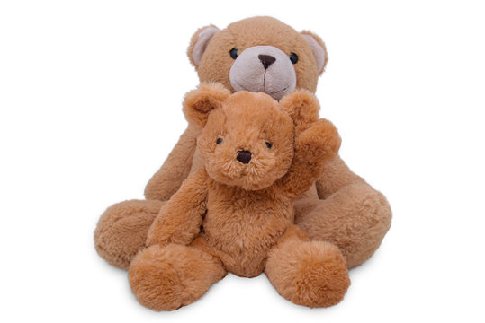 Teddy Bear lift , teddy bear isolated on white background