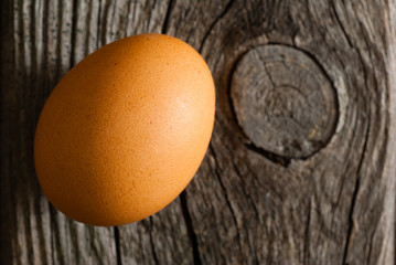 single egg on weathered wooden table