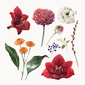 Watercolor floral vector set